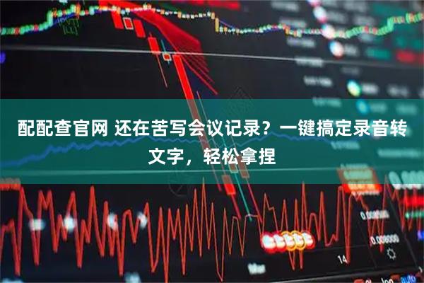 配配查官网 还在苦写会议记录？一键搞定录音转文字，轻松拿捏