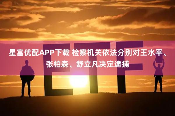 星富优配APP下载 检察机关依法分别对王水平、张柏森、舒立凡决定逮捕